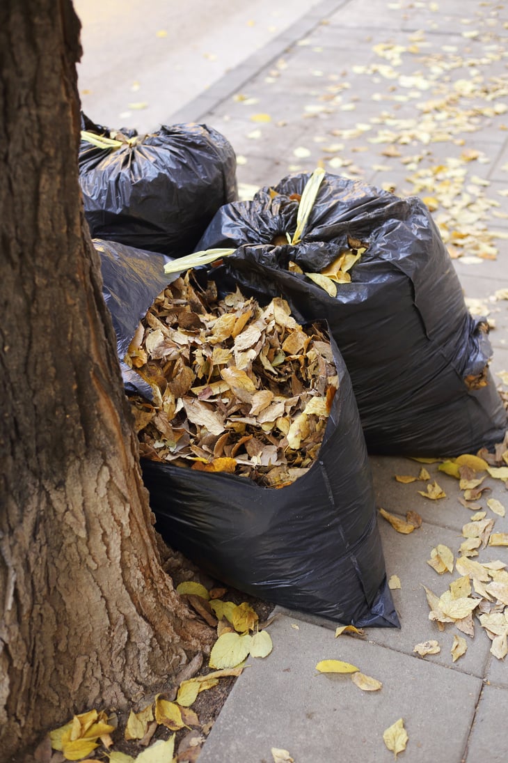 leaves in trash bags